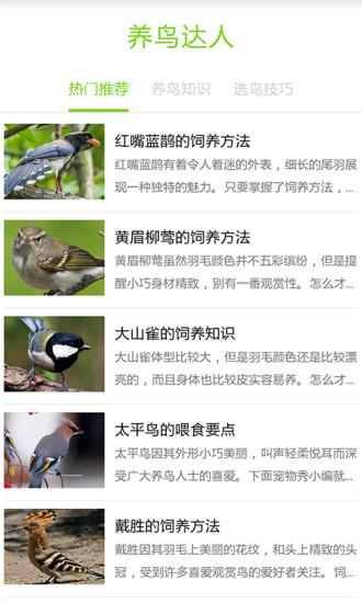 养鸟达人  v1.0图1