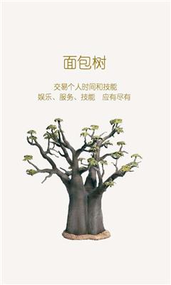 面包树