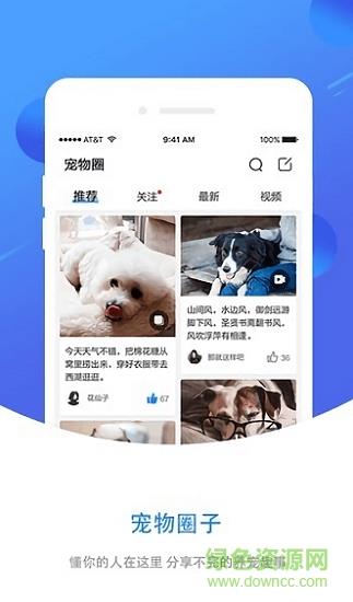 犬易