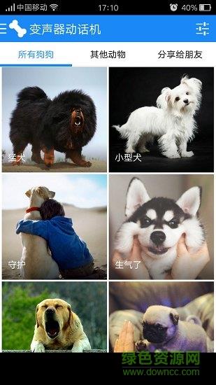 猫狗变声器  v6.2图2