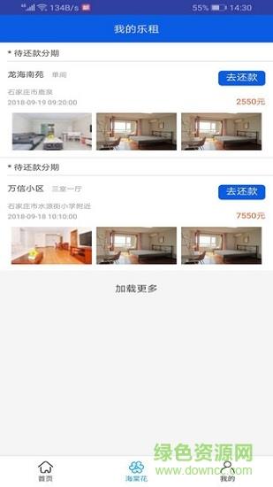 海棠花