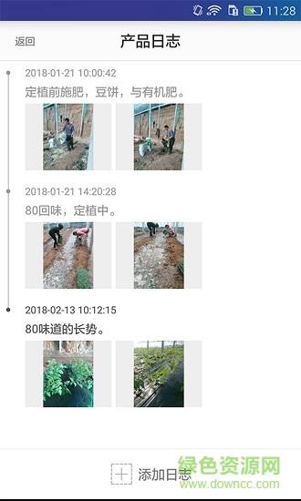 凤岐追溯