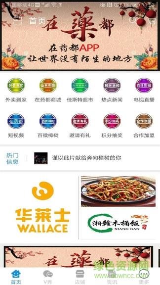 在药都