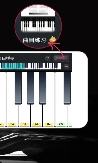 模拟钢琴  v25.5.22图3