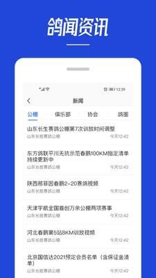 青鸽网  v3.9.1图1