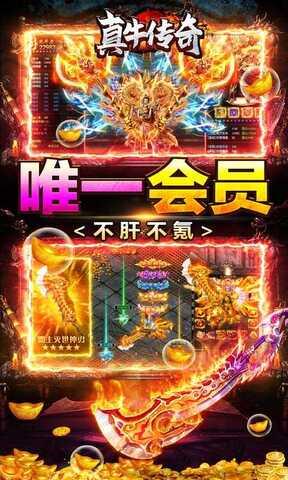 真牛传奇gm版  v1.0.3图5