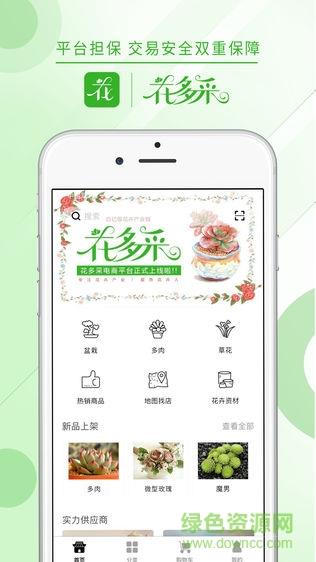 花多采  v1.8图2