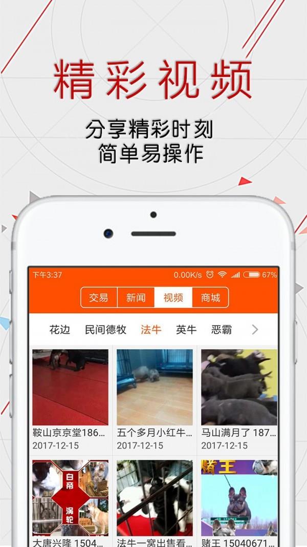 恋狗网  v1.4.7图2