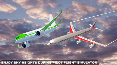 的士航空运输3D  v1.0图2