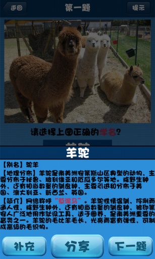 你猜你猜