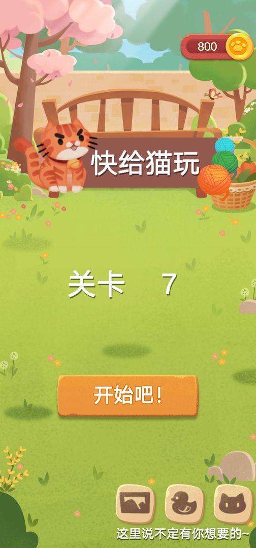 快给猫玩  v1.2图2