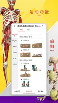 3Dbody解剖  v8.3.40图1