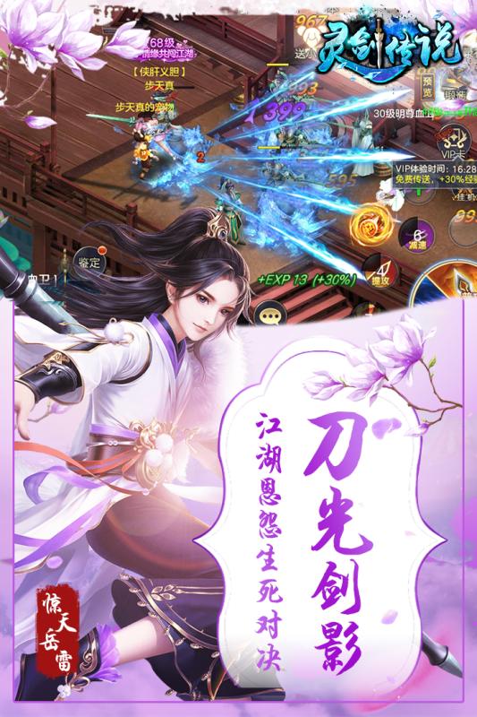 灵剑传说破解版  v1图3
