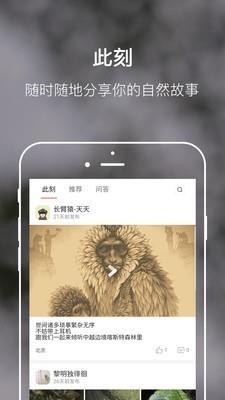 缤纷自然  v1.0.4图1