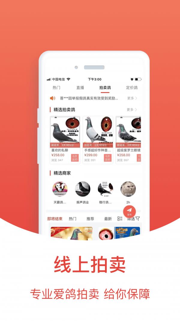 赛鸽头条  v2.1.18.5图5