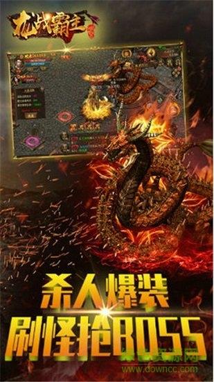 龙战霸主盛大版  v2.06图2