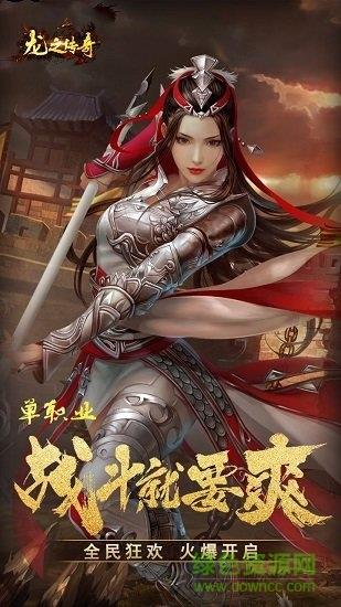 龙之传奇九游客户端  v1.2.0图1