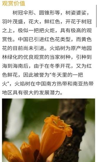 花草种植  v1.01图3
