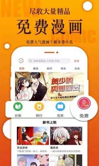 番木瓜网页版