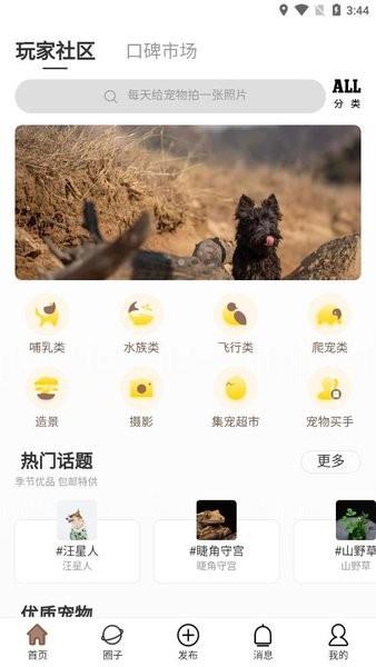 集宠区测试版  v0.0.0图3