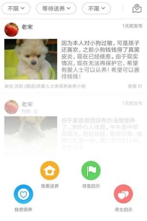 宠物领养  v1.1.26图2