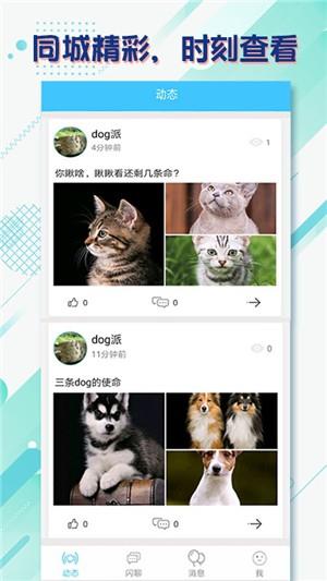 同语  v1.0.4图3