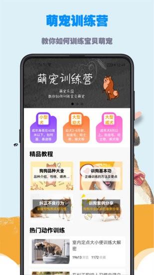 训狗教程视频大全