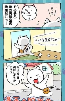 救救猫咪