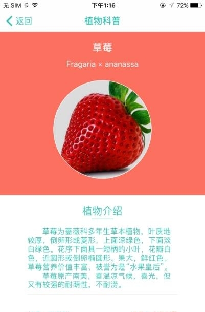 智能花箱  v3.1.6图1