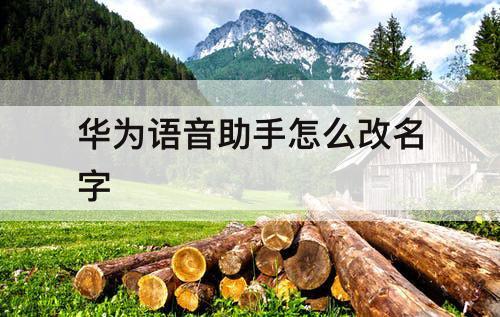 华为语音助手怎么改名字
