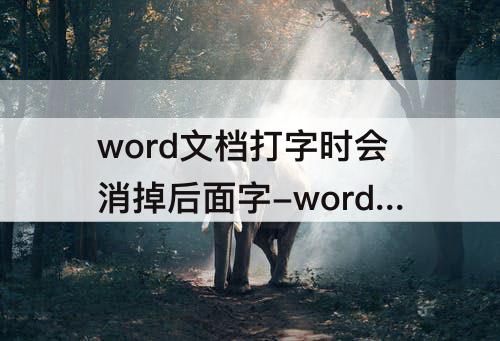 word文档打字时会消掉后面字-word文档打字时会消掉后面字快捷键是什么
