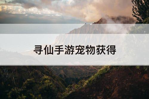 寻仙手游宠物获得