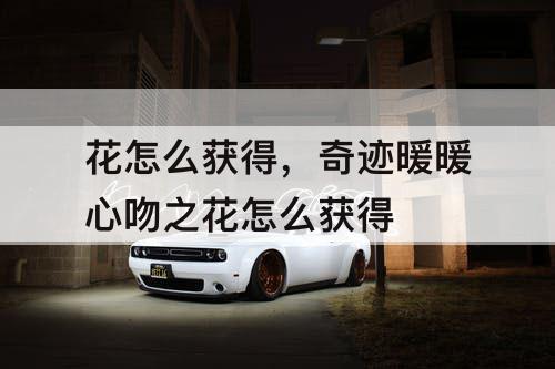 花怎么获得，奇迹暖暖心吻之花怎么获得