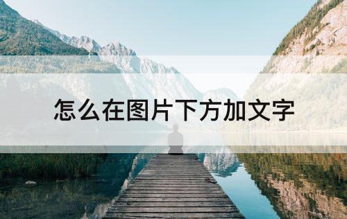 怎么在图片下方加文字