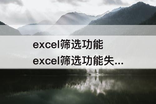 excel筛选功能 excel筛选功能失效
