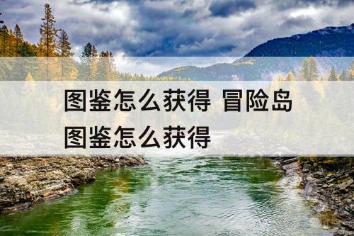 图鉴怎么获得 冒险岛图鉴怎么获得