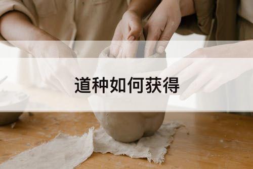 道种如何获得
