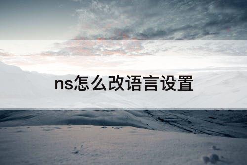 ns怎么改语言设置