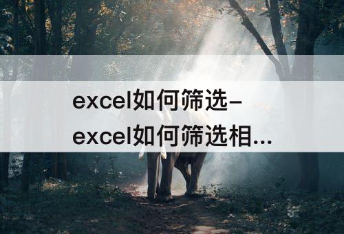 excel如何筛选-excel如何筛选相同的数据