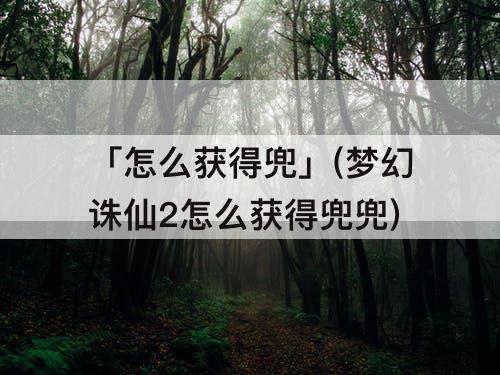 「怎么获得兜」(梦幻诛仙2怎么获得兜兜)