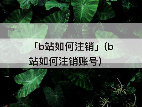 「b站如何注销」(b站如何注销账号)