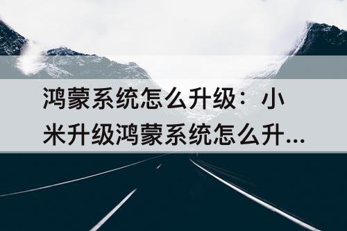 鸿蒙系统怎么升级：小米升级鸿蒙系统怎么升级
