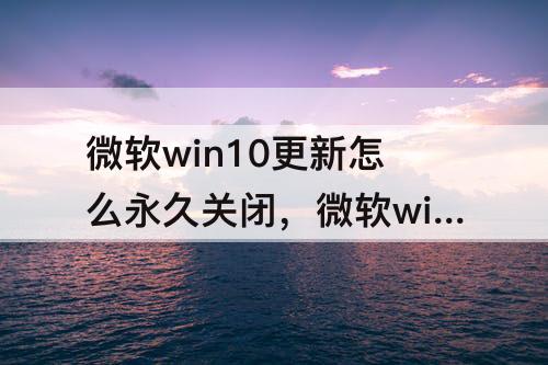 微软win10更新怎么永久关闭，微软win10更新怎么永久关闭插件