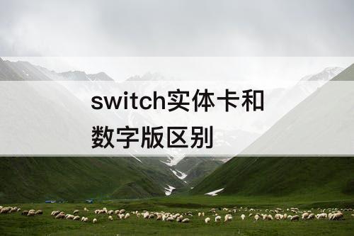 switch实体卡和数字版区别