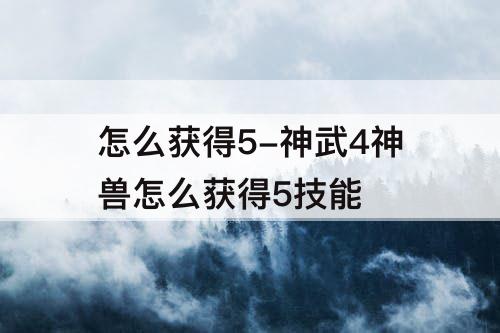 怎么获得5-神武4神兽怎么获得5技能