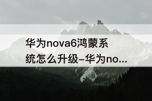华为nova6鸿蒙系统怎么升级-华为nova6鸿蒙系统怎么升级2.0.0.165