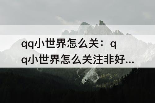 qq小世界怎么关：qq小世界怎么关注非好友