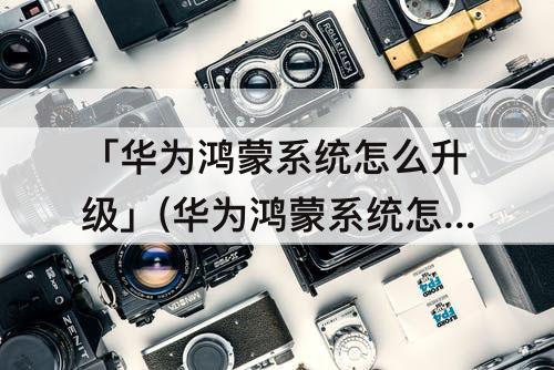「华为鸿蒙系统怎么升级」(华为鸿蒙系统怎么升级matepad)