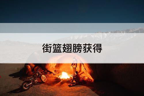 街篮翅膀获得