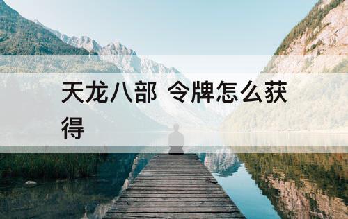 天龙八部 令牌怎么获得